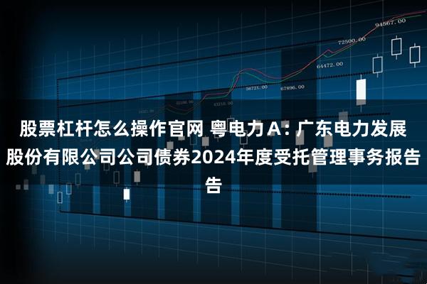 股票杠杆怎么操作官网 粤电力Ａ: 广东电力发展股份有限公司公司债券2024年度受托管理事务报告
